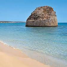 Giano Group Immobiliare